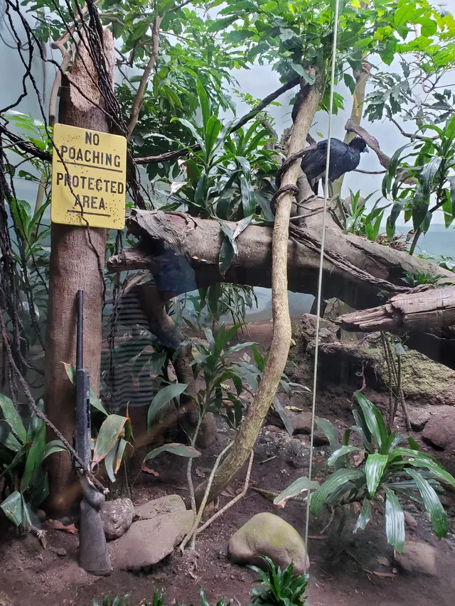 Bronx Zoo — customer photo 4