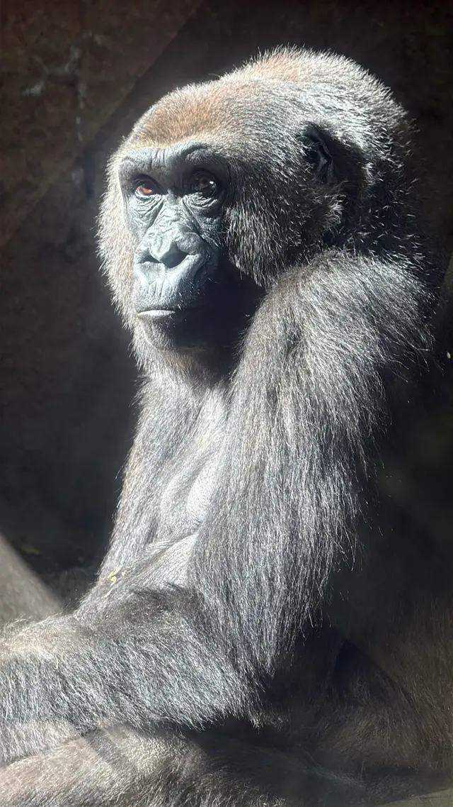 Bronx Zoo — customer photo 11
