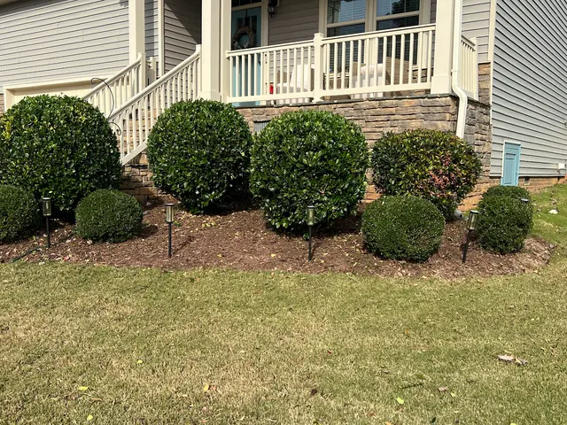 Wicked Weed Control — customer photo 2