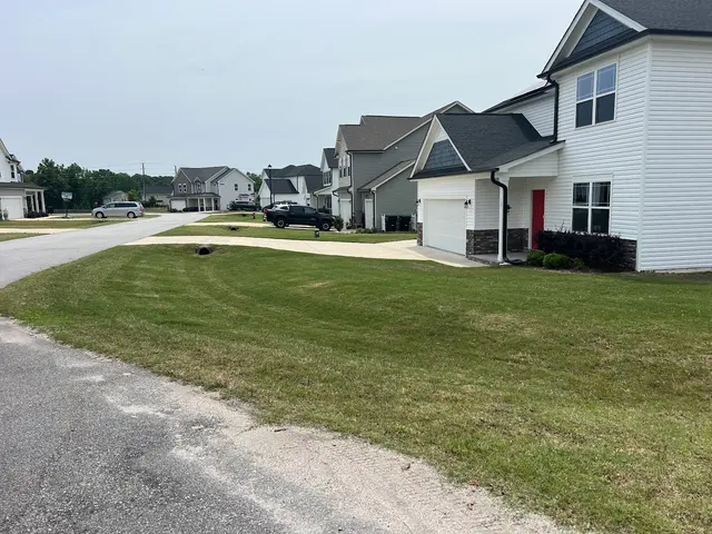 Wicked Weed Control — customer photo 4
