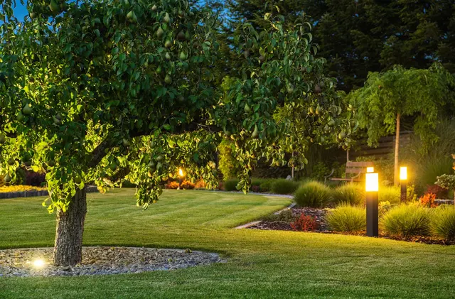 Lawn Panther Landscaping & Weed Control — photo from the business 4