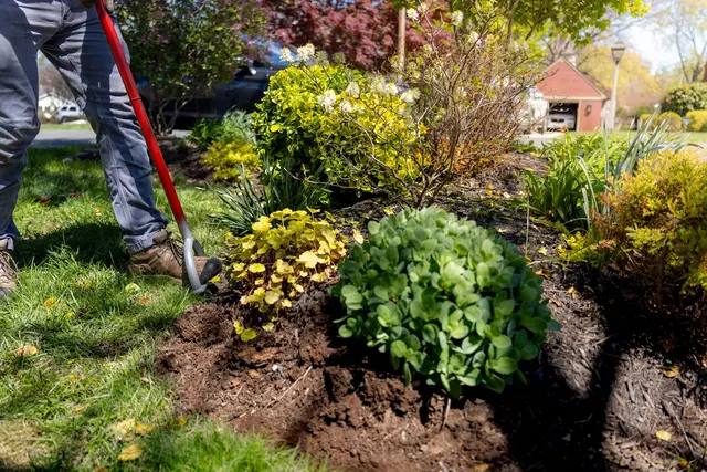 Lawn Panther Landscaping & Weed Control — photo from the business 11