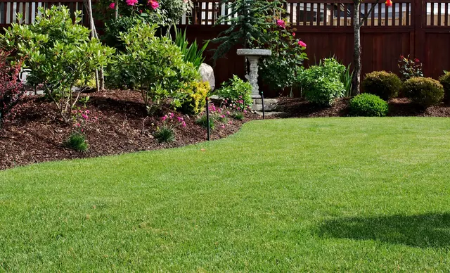 Lawn Panther Landscaping & Weed Control — photo from the business 1