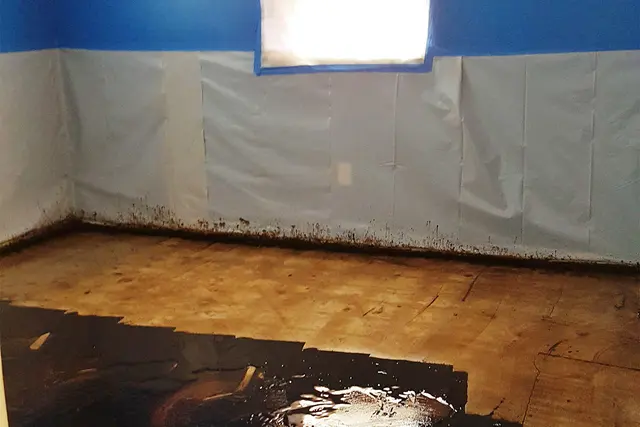 Fundisa Restoration — photo from the business 8