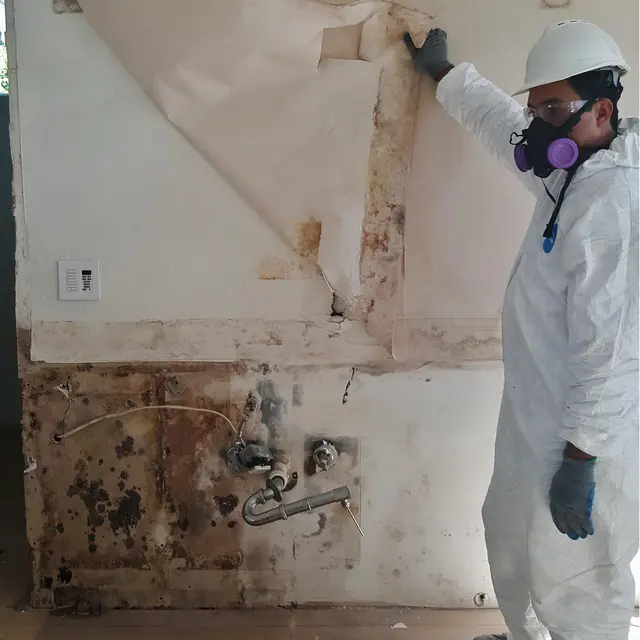 Fundisa Restoration — photo from the business 2