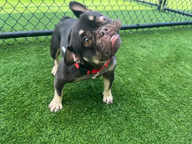 The Spawt — customer photo 7