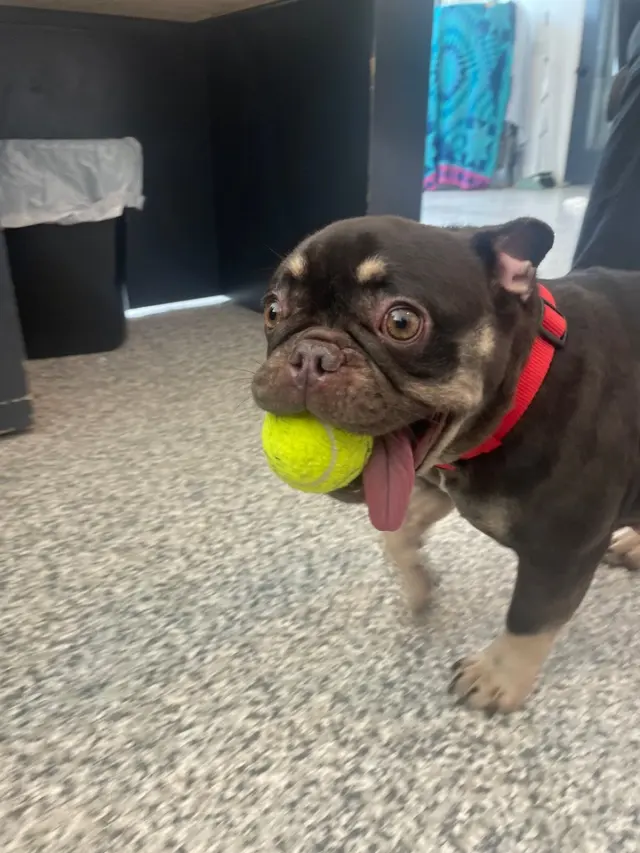 The Spawt — customer photo 3
