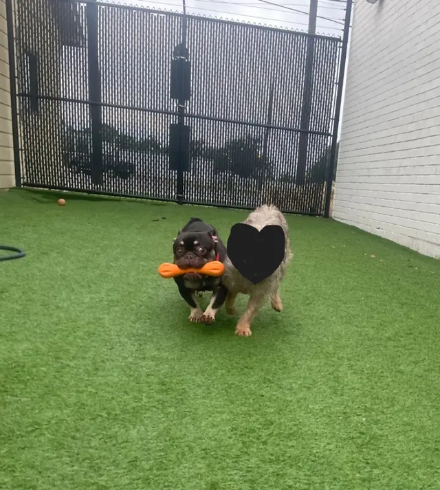 The Spawt — customer photo 5