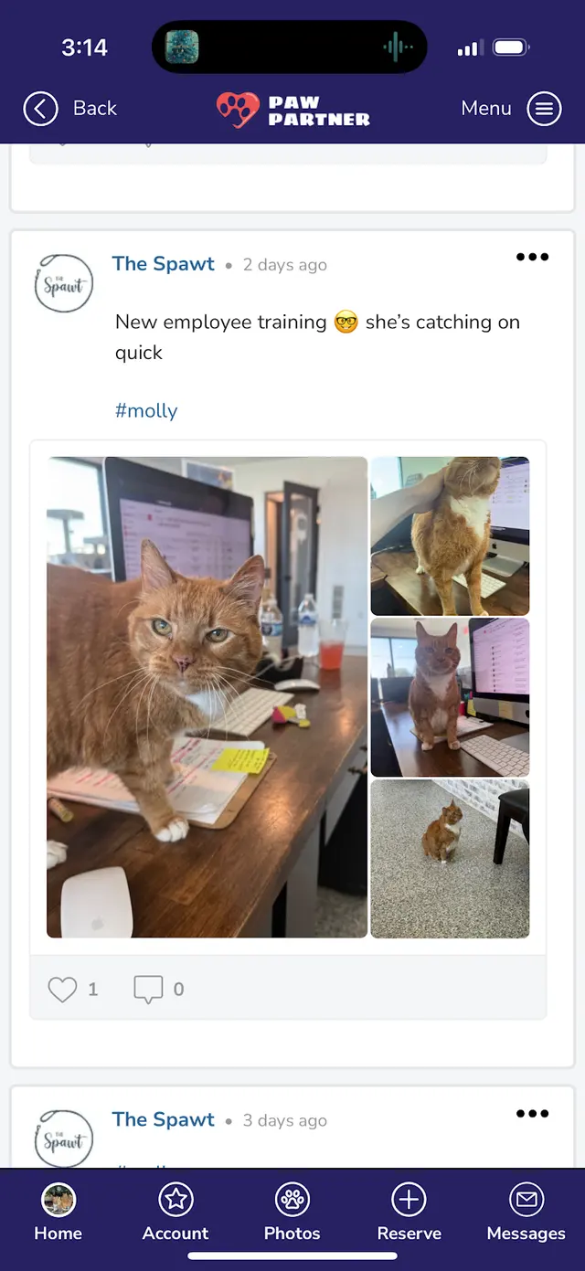 Customer photo from Shelly's review