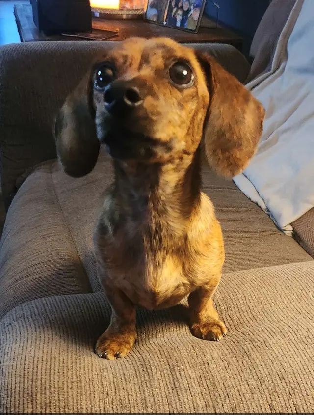 The Spawt — customer photo 6