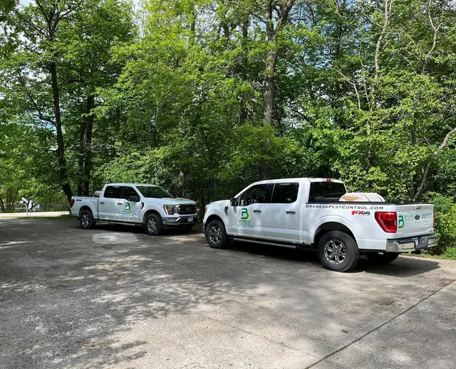 Braness Pest Control — photo from the business 2