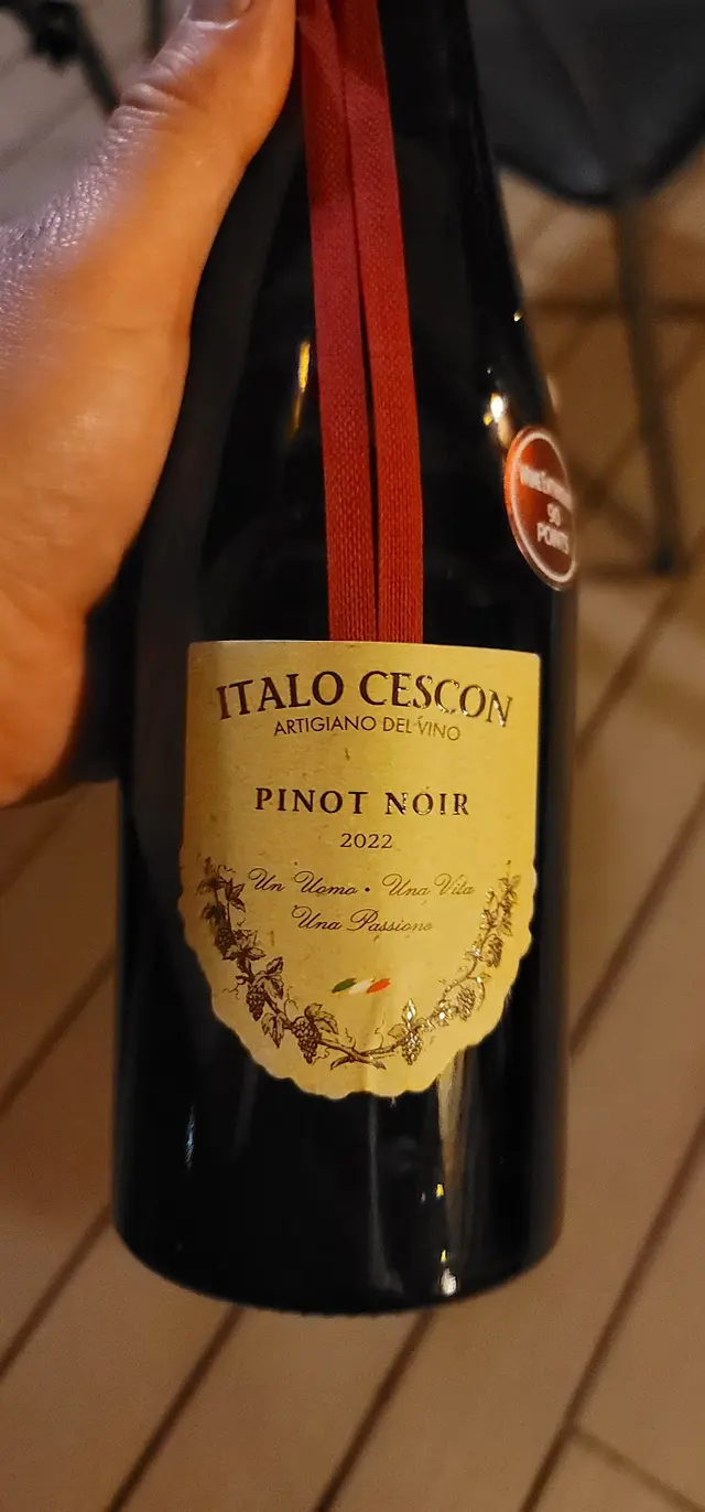 John Houston's Good Spirits Fine Wines — customer photo 6