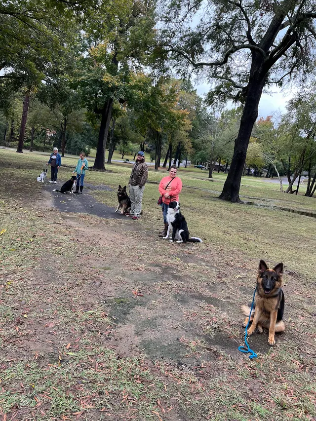 Texas Canine Training LLC — photo from the business 6