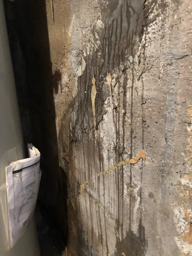 Drain Services Inc. — photo from the business 12