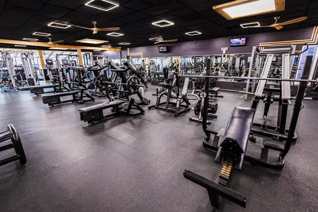 WV Fitness 24 — photo from the business 2