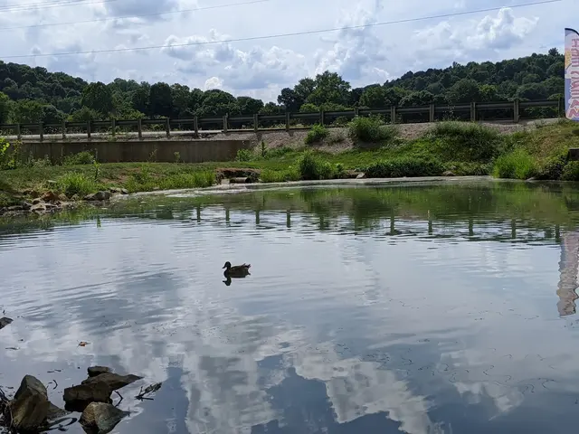 Ye Olde Mill Pond 1 — customer photo 3