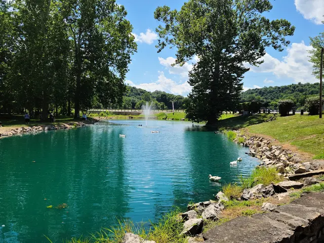 Ye Olde Mill Pond 1 — customer photo 1
