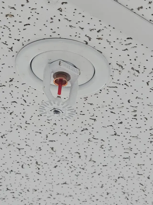 Safeguard Residential Fire Sprinklers — customer photo 5