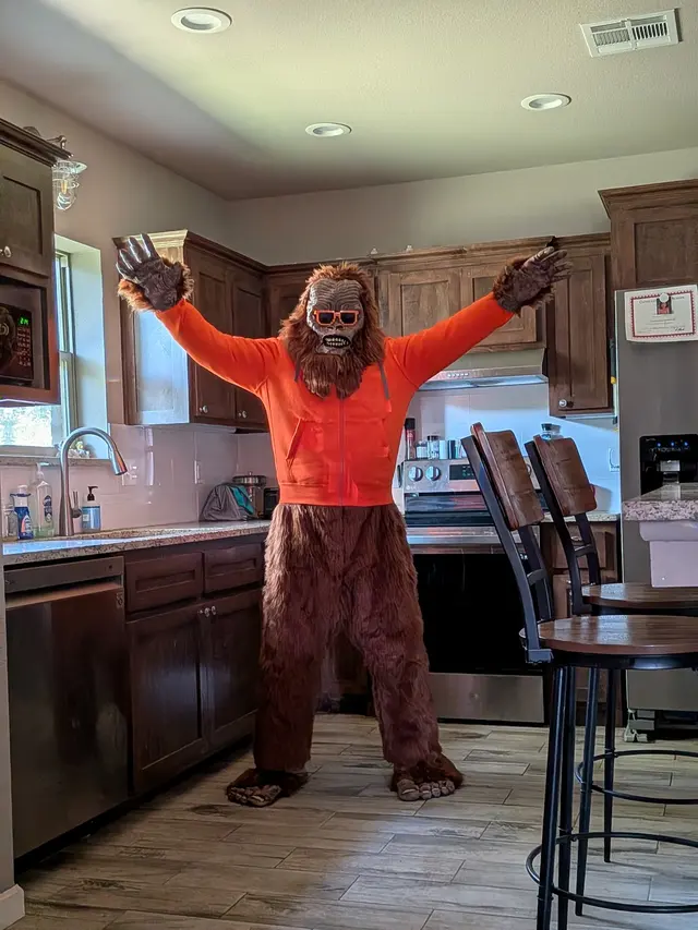 Orange Pest Control — photo from the business 11