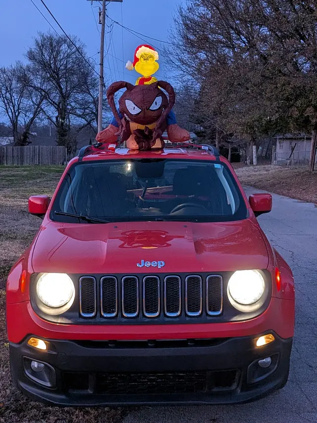 Orange Pest Control — photo from the business 8