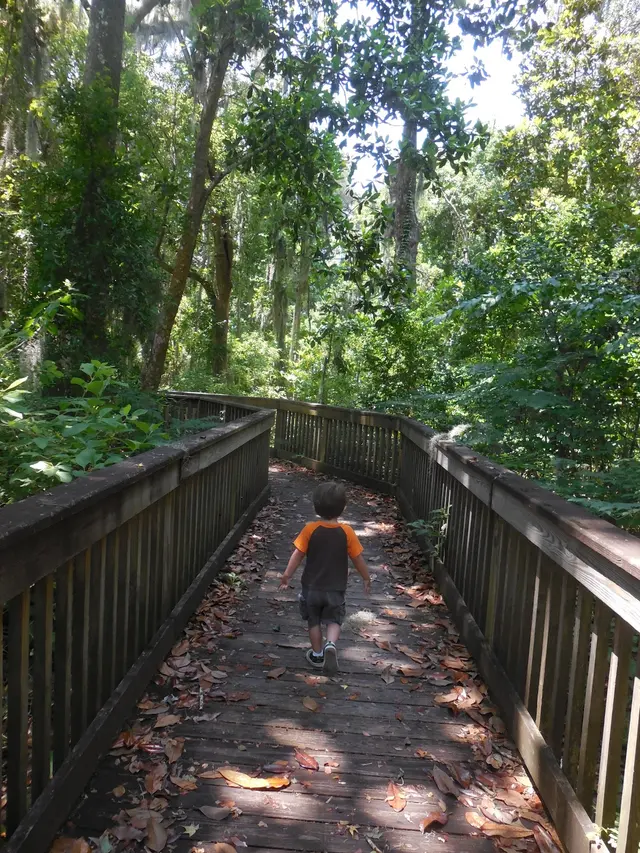 Walter Jones Historic Park — photo from the business 6