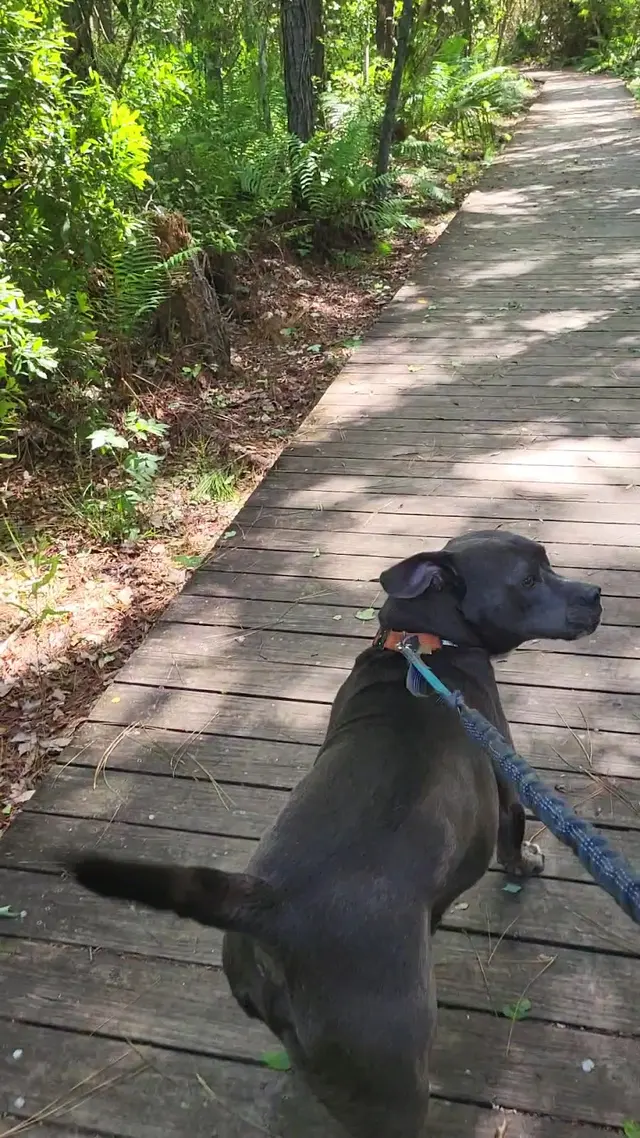 Spanish Pond Trailhead — customer photo 10