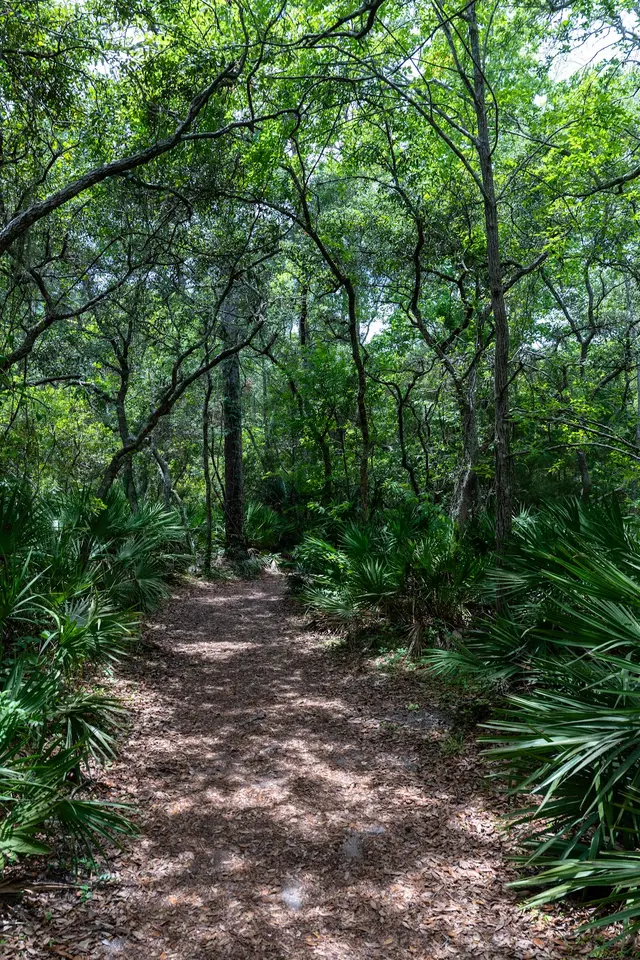 Spanish Pond Trailhead — customer photo 6
