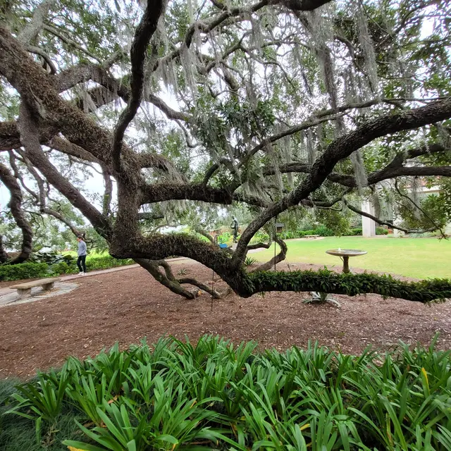 Customer photo of work by Cummer Museum of Art & Gardens, from Diane Glasgow's review
