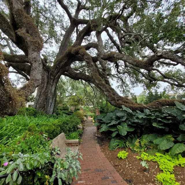 Customer photo of work by Cummer Museum of Art & Gardens, from Diane Glasgow's review