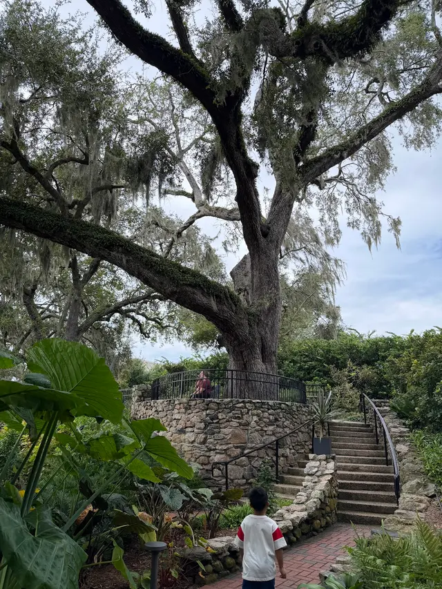 Customer photo of work by Cummer Museum of Art & Gardens, from Johanelsie Jimenez's review
