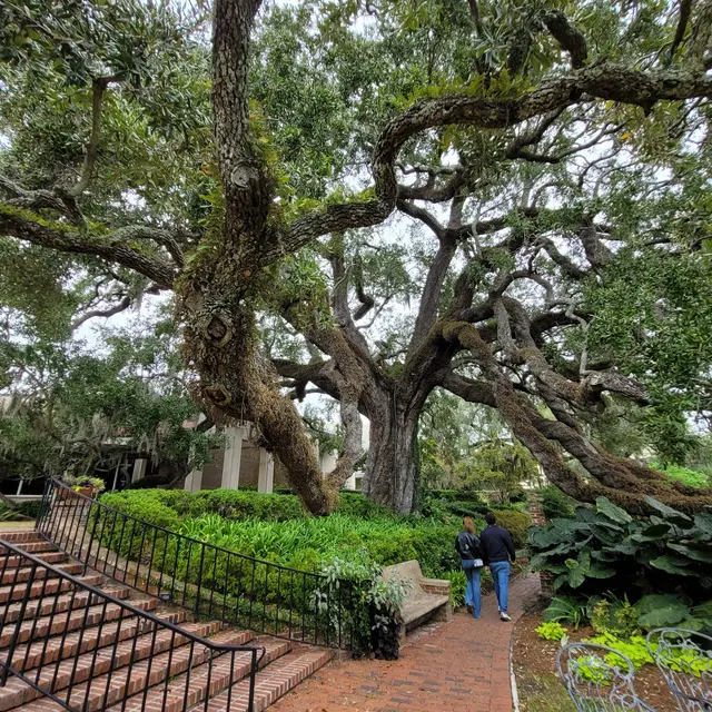Customer photo of work by Cummer Museum of Art & Gardens, from Diane Glasgow's review