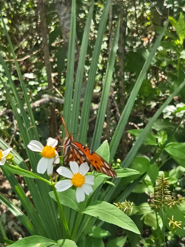 Customer photo of work by Kingsley Plantation, from COURTNEY WINEGARNER's review