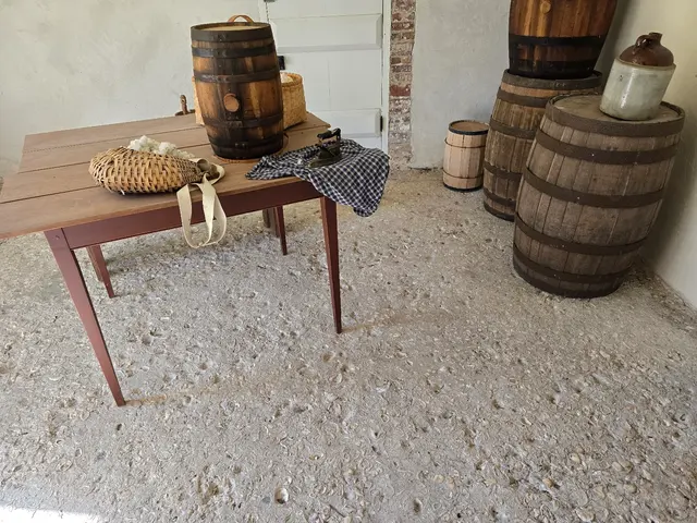 Kingsley Plantation — customer photo 3