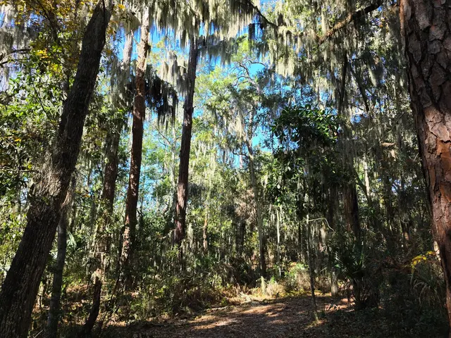 Fort Caroline National Memorial — customer photo 10