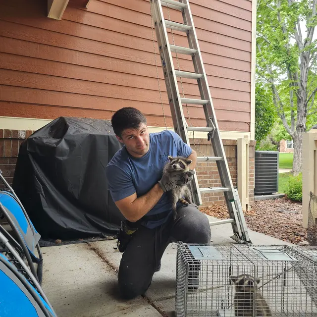 Front Range Pest and Wildlife Control — photo from the business 4