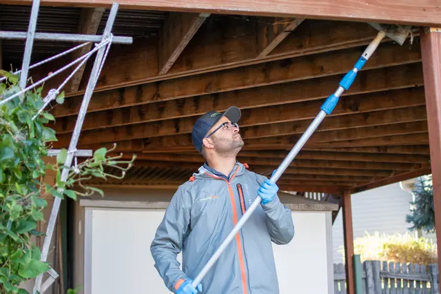 Effective Pest Services — photo from the business 4