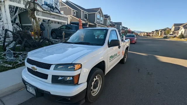 Effective Pest Services — photo from the business 11