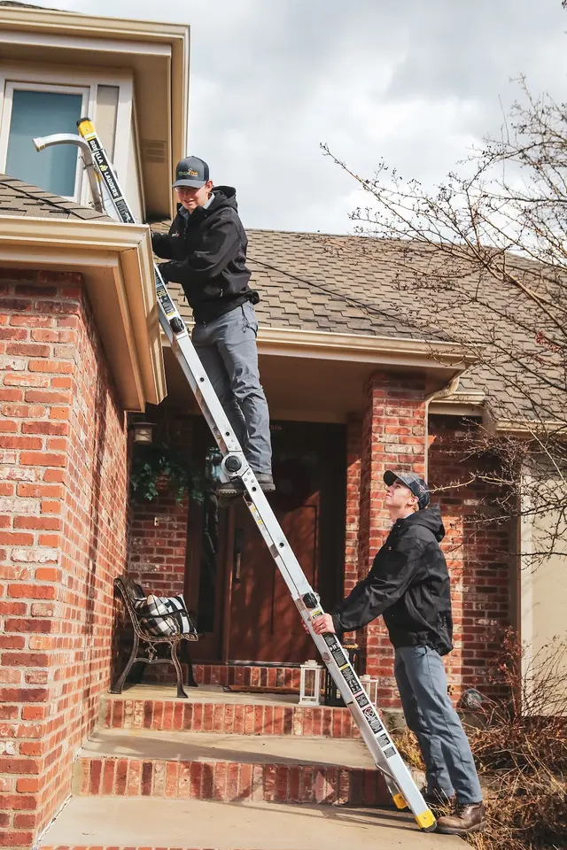 Effective Pest Services — photo from the business 5
