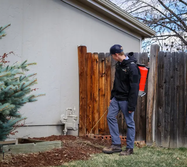Effective Pest Services — photo from the business 7