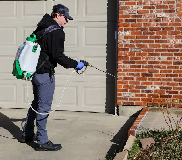 Effective Pest Services — photo from the business 3