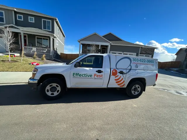 Effective Pest Services — photo from the business 2