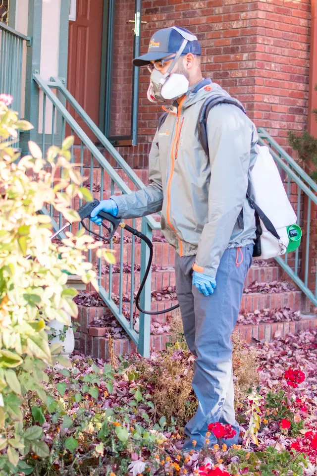 Effective Pest Services — photo from the business 10