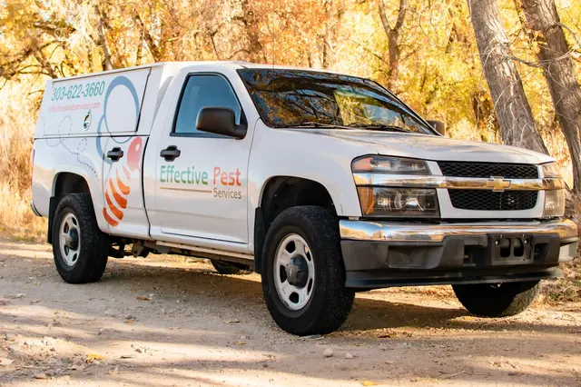 Effective Pest Services — photo from the business 12