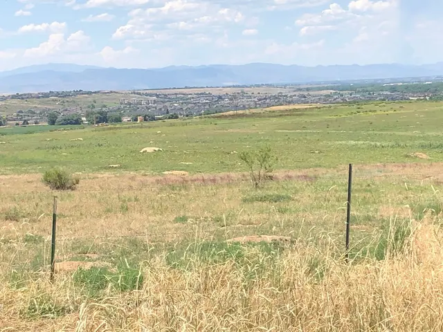 Northern Colorado Pest and Wildlife Control — photo from the business 6