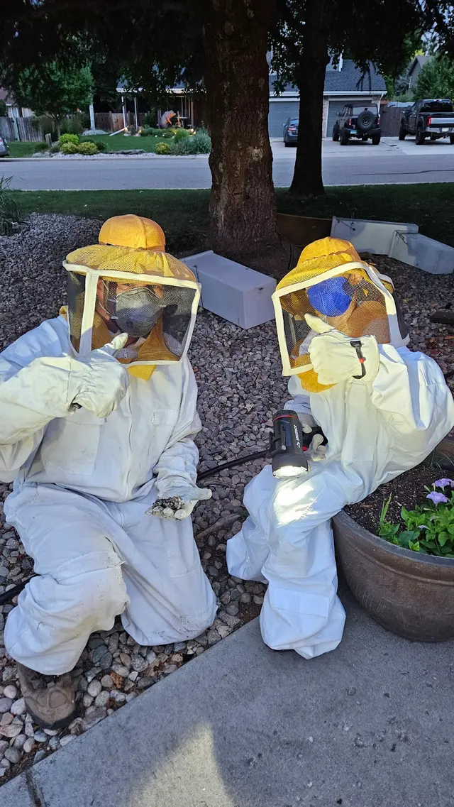 Iconic Pest Solutions — photo from the business 4