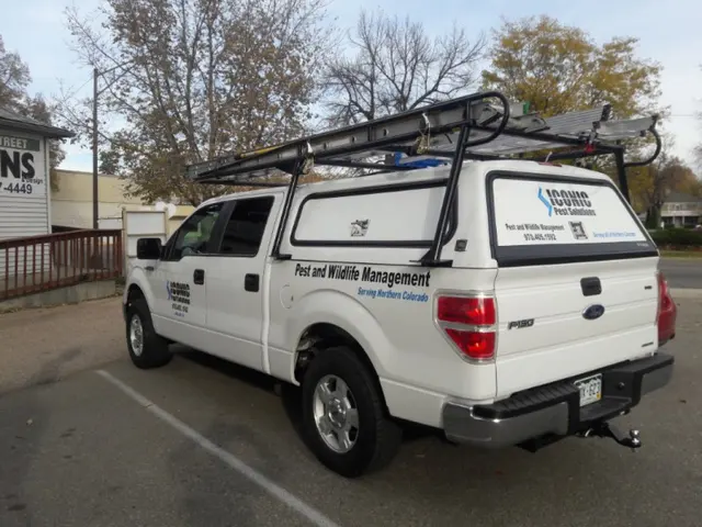 Iconic Pest Solutions — photo from the business 1