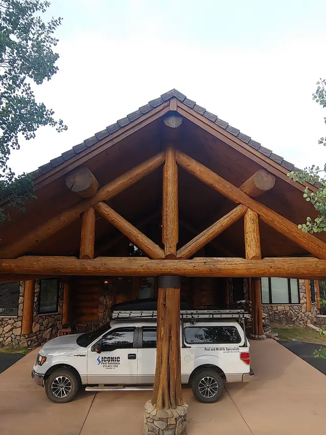 Iconic Pest Solutions — photo from the business 2