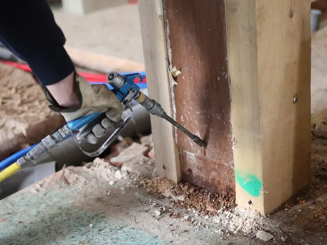 Iconic Pest Solutions — photo from the business 5