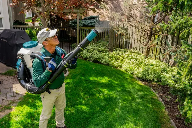 Mosquito Hero — photo from the business 10