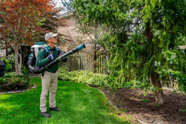 Mosquito Hero — photo from the business 6
